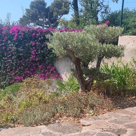 Villa Du Bau Rouge Carqueiranne Zewnętrze zdjęcie