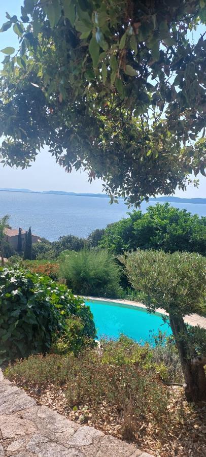 Villa Du Bau Rouge Carqueiranne Zewnętrze zdjęcie