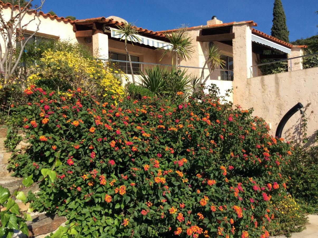 Villa Du Bau Rouge Carqueiranne Zewnętrze zdjęcie