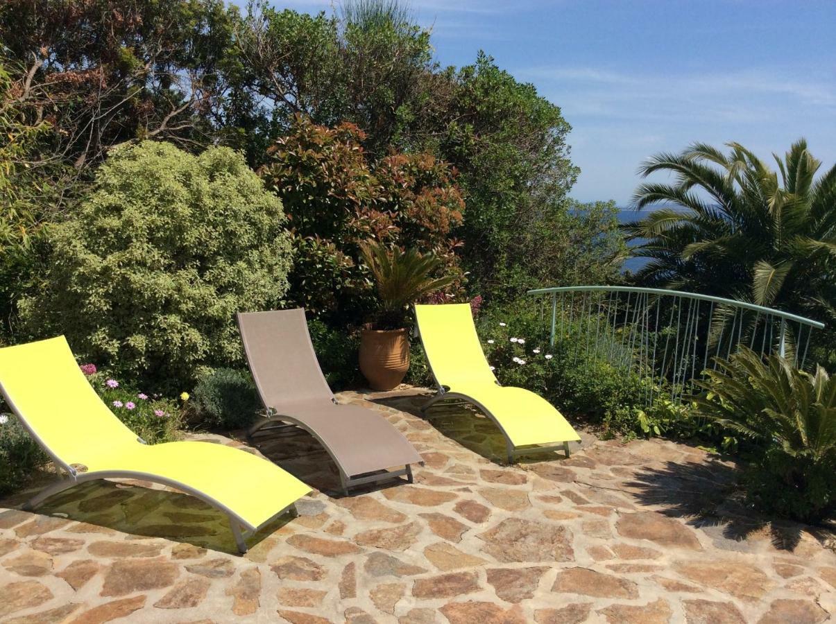 Villa Du Bau Rouge Carqueiranne Zewnętrze zdjęcie